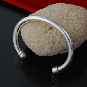 Hot Charm Jewelry Chain Bracelet S925 Silver Bracelets