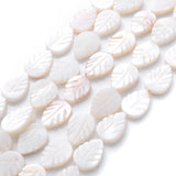 10/14mm Mix Shell Leaf Beads Natural Colorful Jewelry Beads DIY Ornament