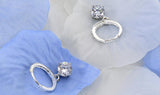 Zircon Arrival 925 Sterling Silver Stud Earrings for Women