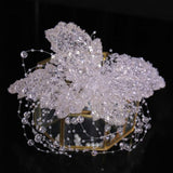 Beaded Crystal Hair Band for Women Party