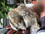 4Pcs Nature Stone Jinghu Jewelry Weekly Selected Promotions