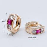 Circle Round Women Fine Jewelry 585 Rose Red Zircon Earrings