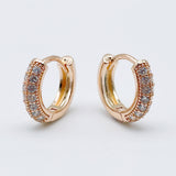 Small 585 Rose Micro Wax Inlay Zircon Earrings for Girls