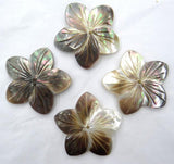 Natural Quartz Crystal Abalone Shell Charms Pendant for DIY Jewelry Making