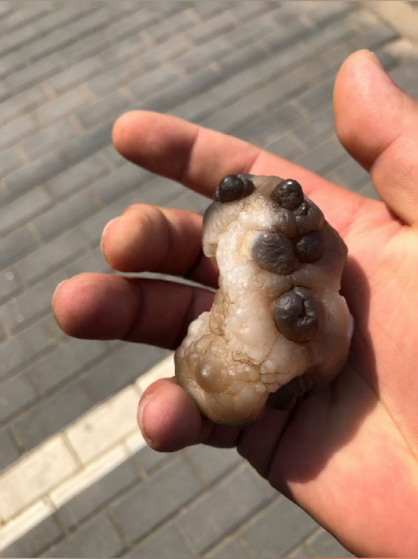 1Kg Dog Milk Agate Stone Nature Crystal From Mongolia