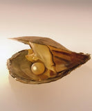 5pcs Freshwater Vacuum Oyster Pearls with 6-8mm Oval Rice Pearl Inside