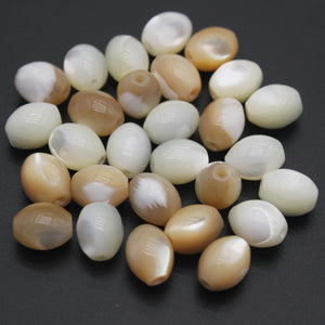 Natural Horseshoe Snail Shell Oval Rice Beads Loose Spacer Bead