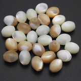 Natural Horseshoe Snail Shell Oval Rice Beads Loose Spacer Bead