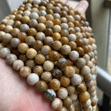Fossilized Coral Jaspers Natural Stone Beads Loose Round Strand