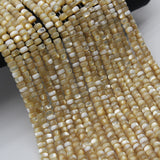Mother Of Pearl Shell Septal Beads For DIY Jewelry Making