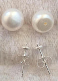 Gray Freshwater Pearl Earring 10-11mm Oblate
