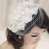 Vintage Birdcage Wedding Veil with Hairpins