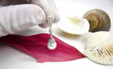 925 Silver Clear Crystal Drop Earrings Teardrop Bridal Wedding Jewelry
