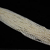 Freshwater Pearl Loose Beads 5-6mm DIY Jewelry Making
