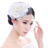 Vintage Birdcage Wedding Veil with Hairpins