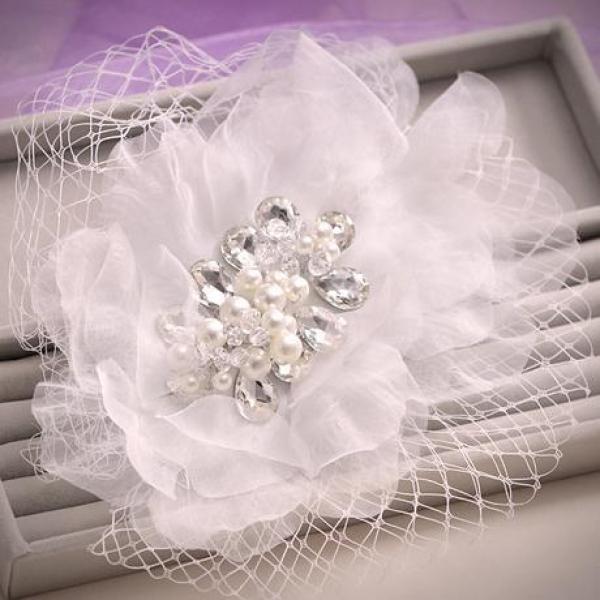 Vintage Birdcage Wedding Veil with Hairpins