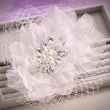 Vintage Birdcage Wedding Veil with Hairpins