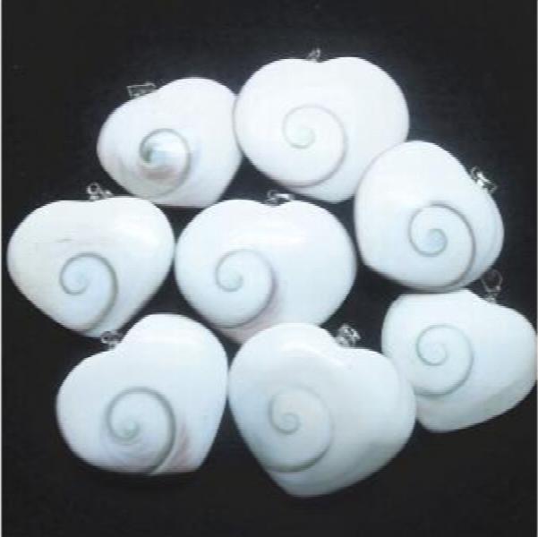 1PC Madagascar Sun Shellfish Fossils Saltwater Shell Charms Pendants
