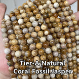 Fossilized Coral Jaspers Natural Stone Beads Loose Round Strand