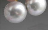 Gray Freshwater Pearl Earring 10-11mm Oblate