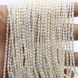 Freshwater Pearl Irregular Loose Bead 2mm-2.5mm