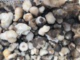 1Kg Dog Milk Agate Stone Nature Crystal From Mongolia