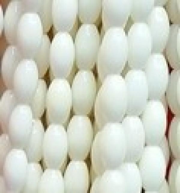 Colorful Natural Coral Beads 86Pcs/Lot Loose Strands Jewelry Findings