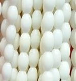 Colorful Natural Coral Beads 86Pcs/Lot Loose Strands Jewelry Findings