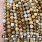 Fossilized Coral Jaspers Natural Stone Beads Loose Round Strand