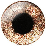 Cat Dragon Doll Eyes Glass Cabochons DIY EY504