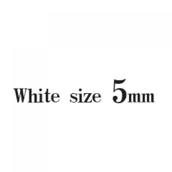 925 Silver 5mm Moissanite Stud Earrings Wedding Jewelry
