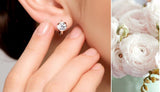 925 Silver Zirconia Hoop Earrings For Women S-E929