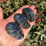 Labradorite Skull Necklace Pendant Carved Statue Decoration Crystal Gift
