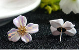 Colorful Resin Earrings with 925 Silver Needle