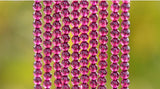 4A Rhodolite Garnet Beads 3.5-5mm Rose Red Smooth Round 15" Strand