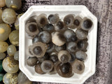 33Pcs Nature Stone Set - Agate, Lacquer Jade, Silk Jade, Diamond Panda Stone