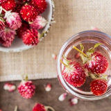 Dried Red Gomphrena Globosa for Wedding Home Decoration