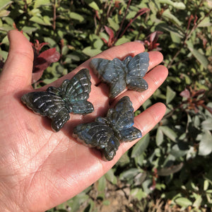 Labradorite Butterfly Necklace Pendant Carved Statue Gem Figurine Crystal Gift