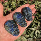 Labradorite Skull Necklace Pendant Carved Statue Decoration Crystal Gift