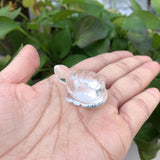 Natural Smoky Quartz Amethyst Turtle Carved Animal Healing Stone