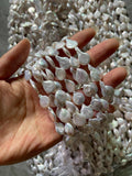 Natural Freshwater Pearl Beads Water Drop Loose Bead DIY Women Pendants Earrings