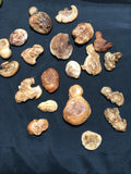 20Pcs Gobi Desert Lacquer Old PiShi Stone Jewelry Golden Jade Image Texture