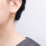 S925 Crystal Zircon Diamond Zircon Earrings