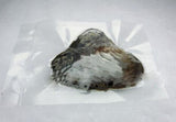 20pcs 6-7mm Oval Pearls in Oyster, Vacuum Packed
