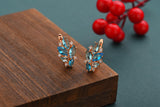 Fine Jewelry Sky Horse Eye Zircon Women 585 Earrings
