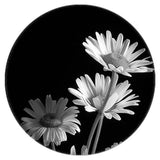 5pcs Flower Pattern Round Glass Cabochons for Earrings Brooch FP048