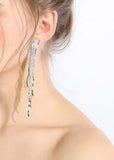 Natural Stone Water Ripple Tassel Zircon Earrings