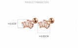 925 Silver Star Crown Stud Earrings