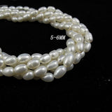 Freshwater Pearl Loose Beads 5-6mm DIY Jewelry Making