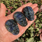 Labradorite Skull Necklace Pendant Carved Statue Decoration Crystal Gift